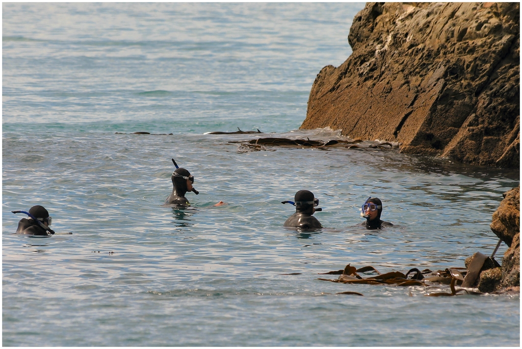 14 - Kaikoura (36).jpg